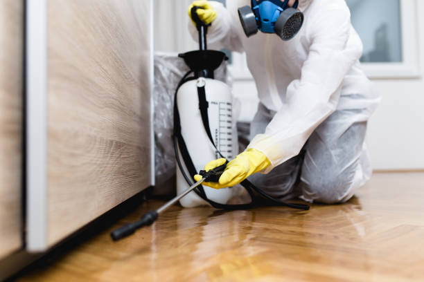 Best Wasp Removal Services  in Cherryvale, KS