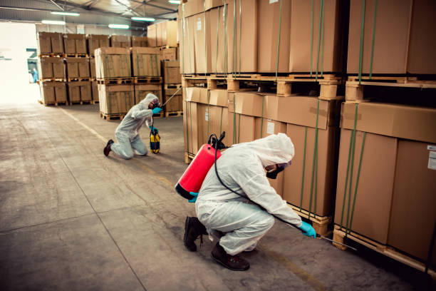 Flea Control Services in Cherryvale, KS