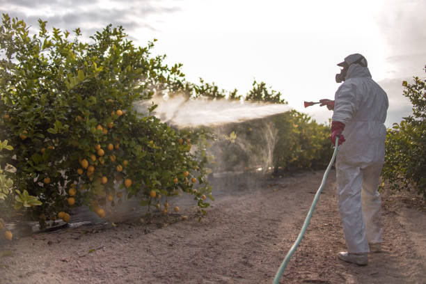 Wildlife Control Services in Cherryvale, KS