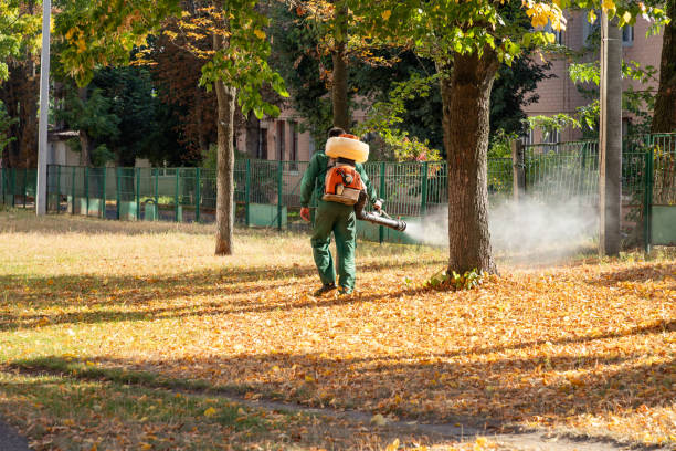 Best Pest Control Near Me  in Cherryvale, KS