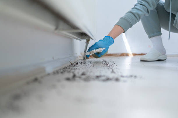 Best Residential Pest Control  in Cherryvale, KS